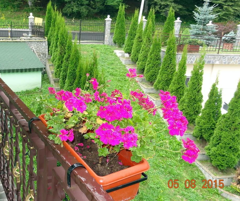 פרדיאל Vila Bogdana מראה חיצוני תמונה